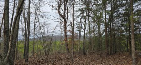 117 Scenic View Drive