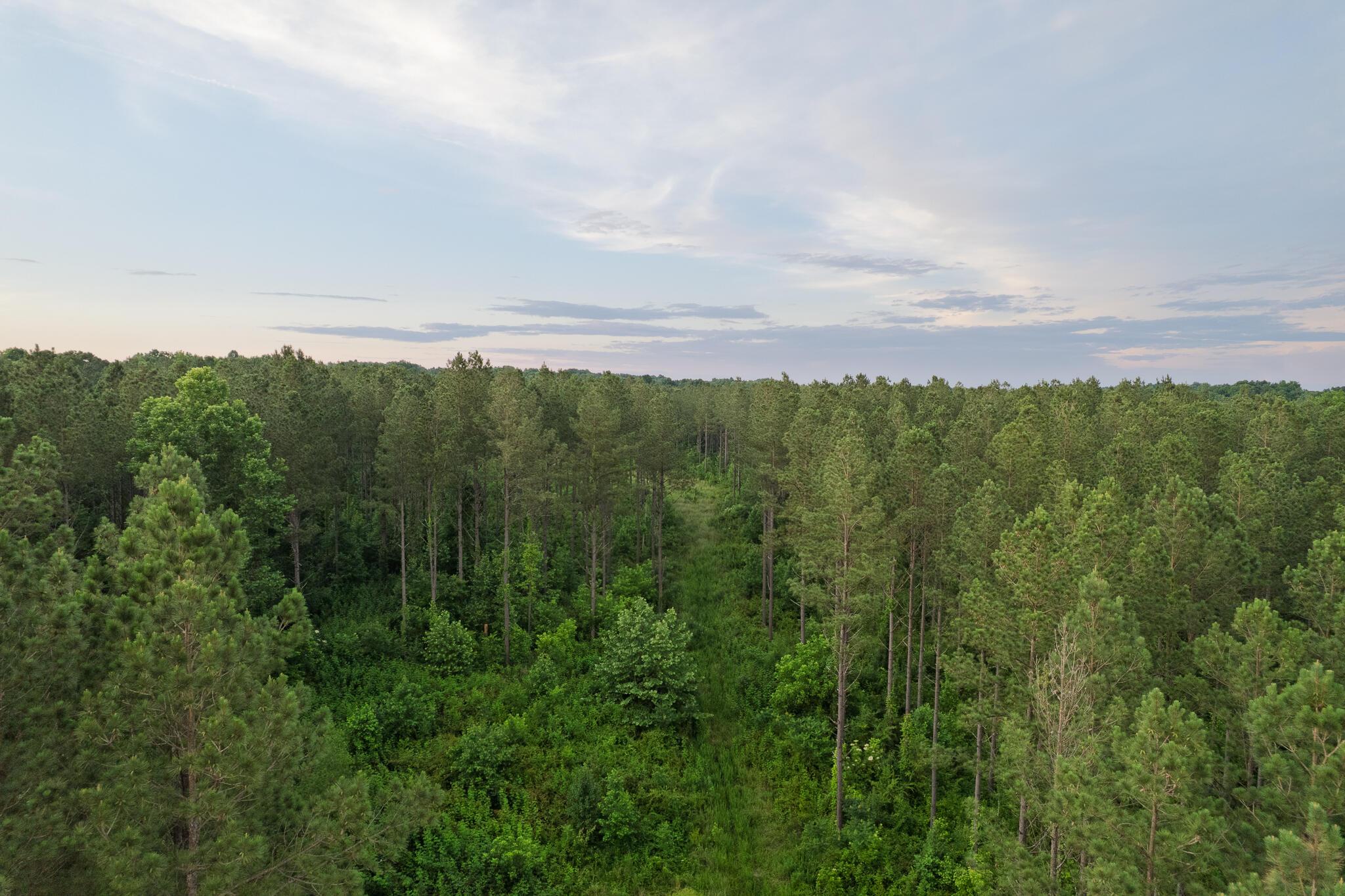 Image 1: DJI_0786