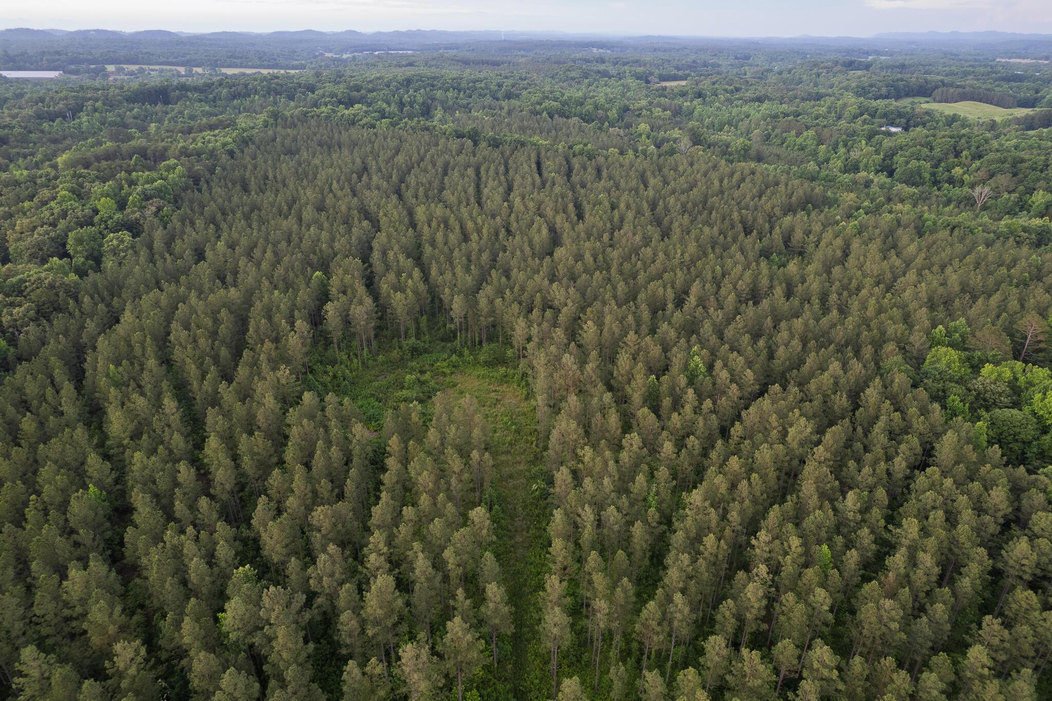 Image 4: DJI_0787