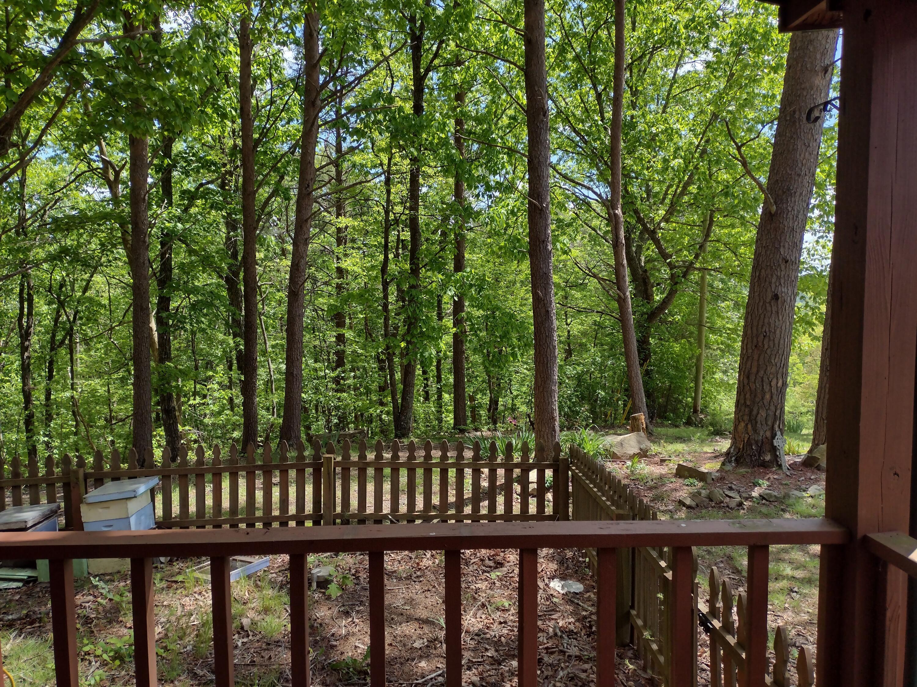 Image 4: IMG_20250506_135906160_HDR