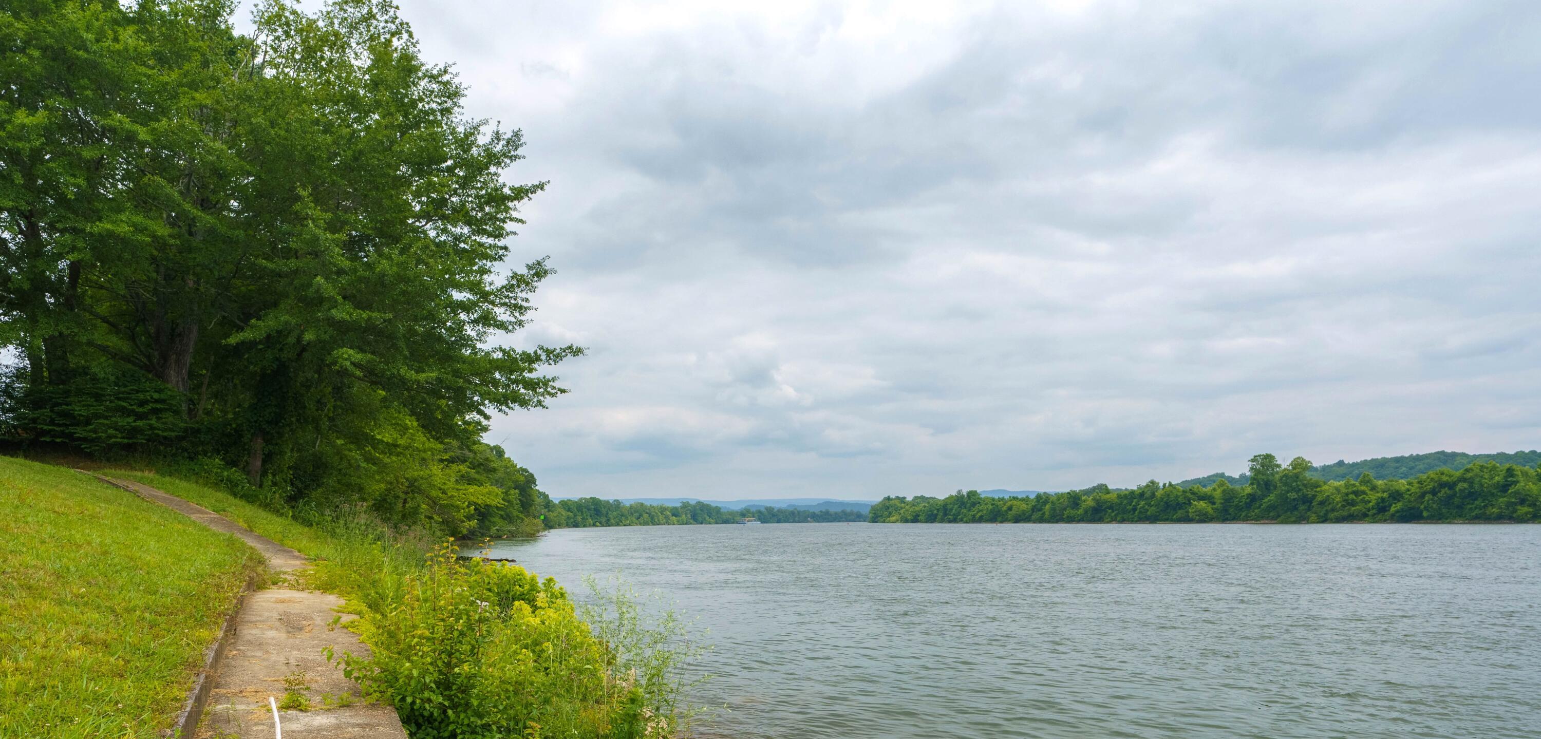 Image 3: 37 - River Frontage - (on left)