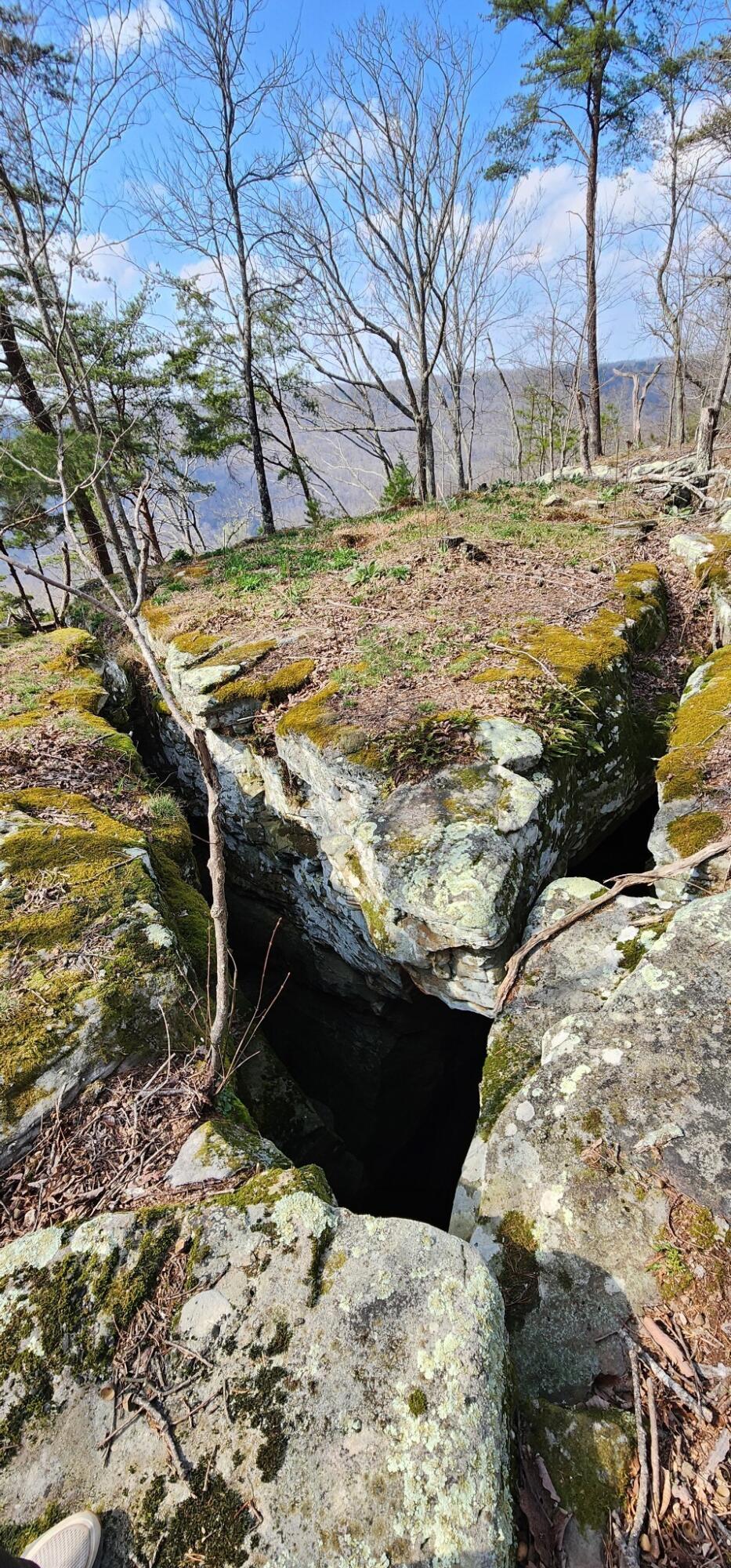 Image 2: 1