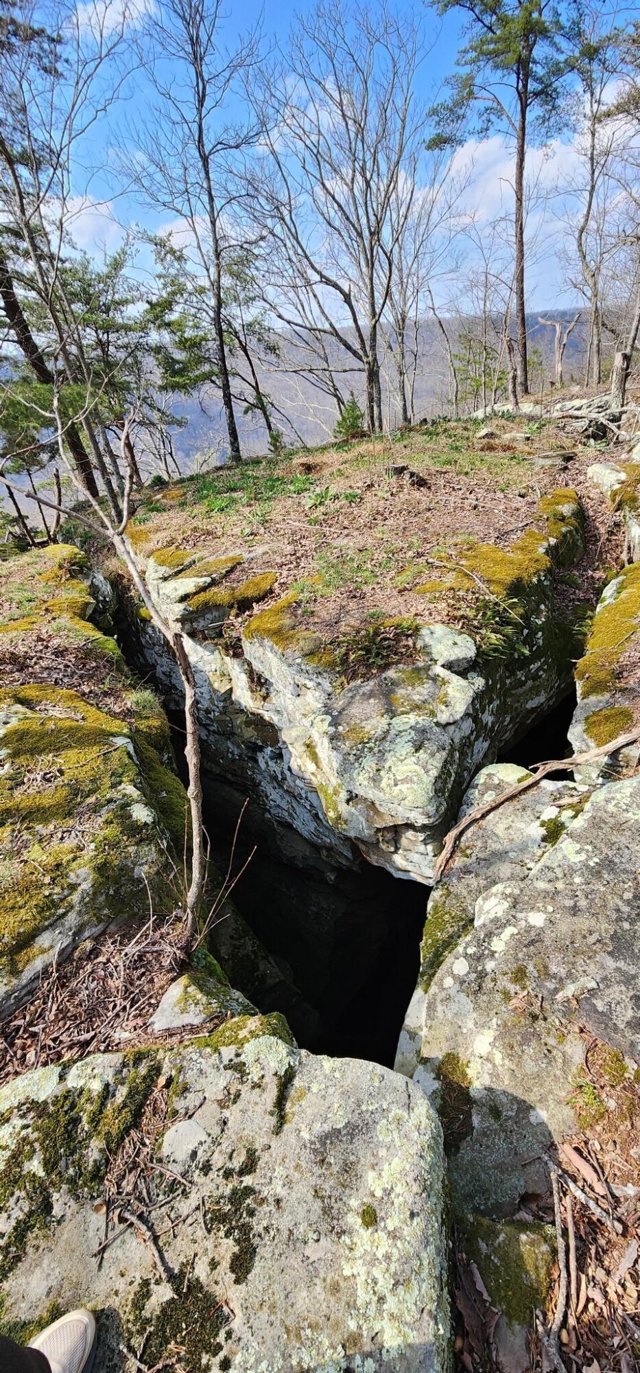 Image 4: 3
