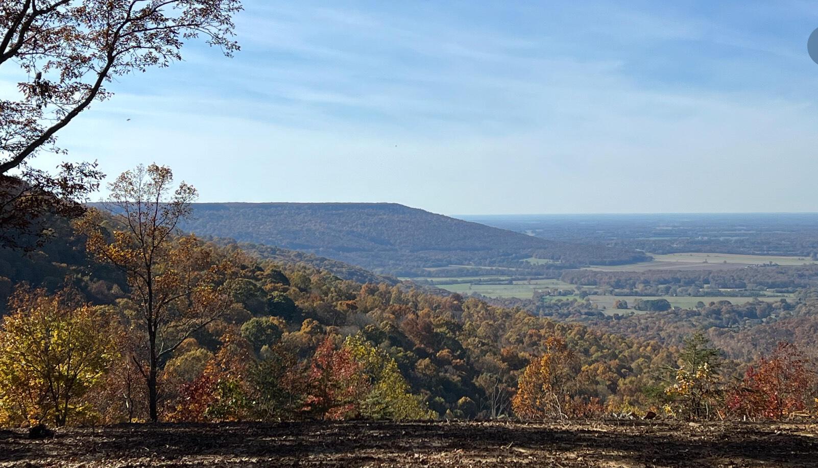 Image 1: Long View - pic 1