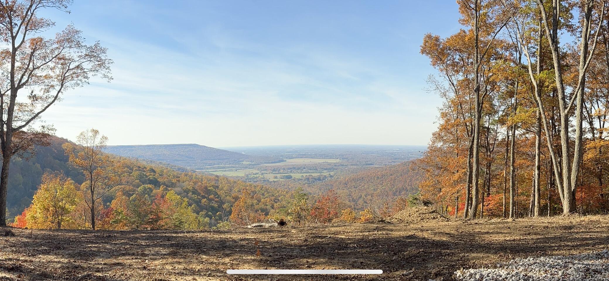Image 2: Long View - pic 2