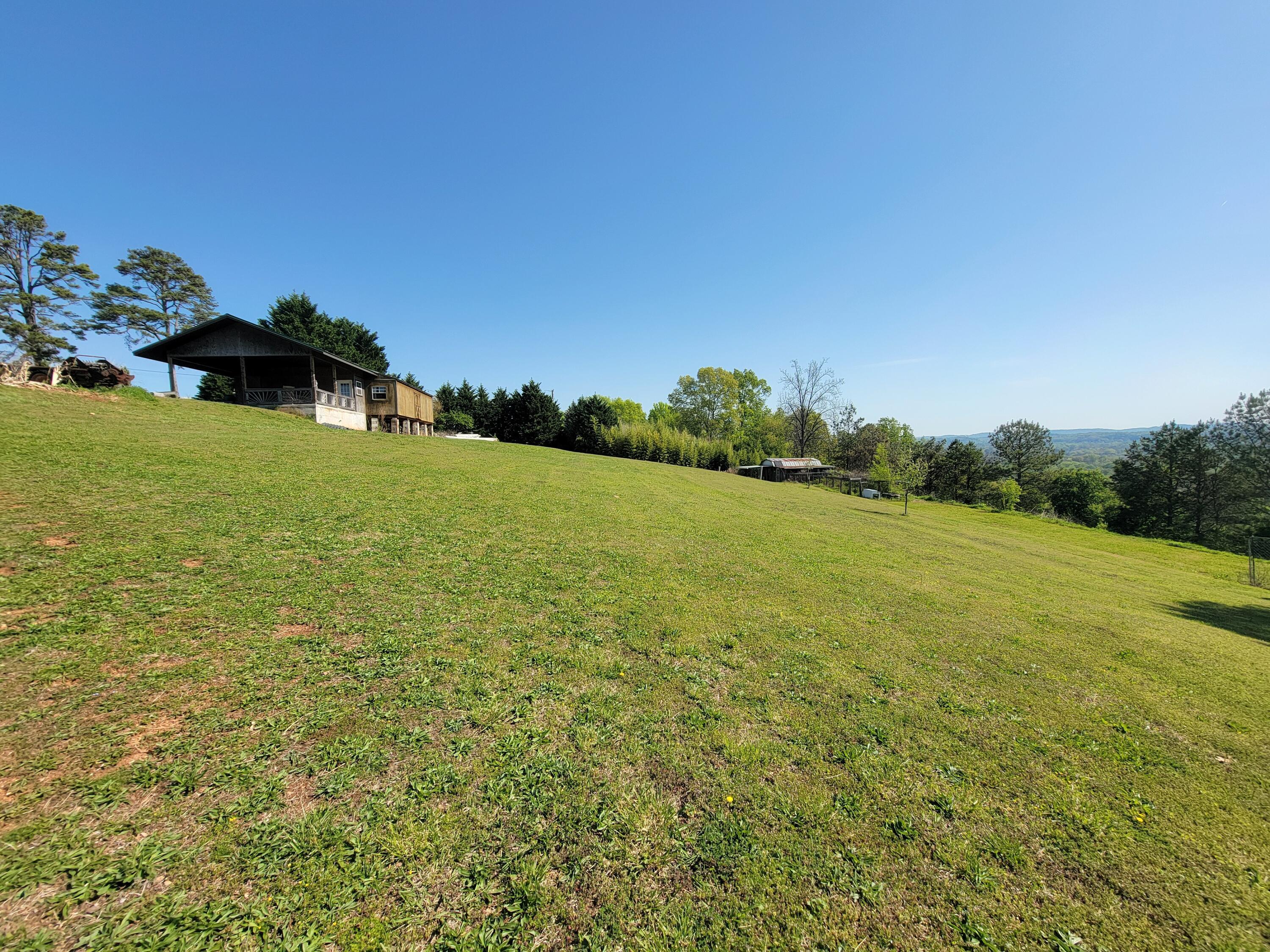 Image 3: 20250414_105144