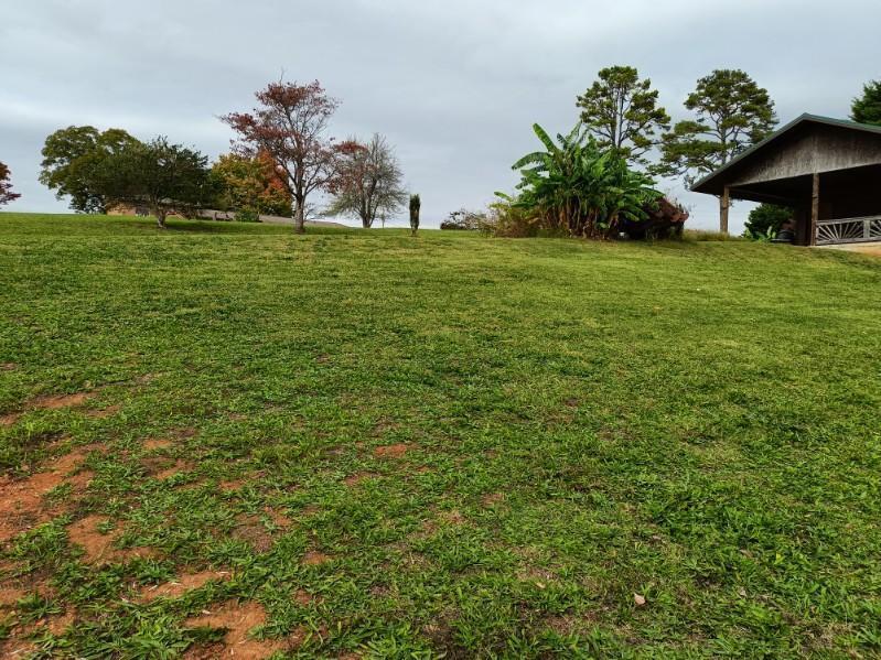 Image 4: image000001