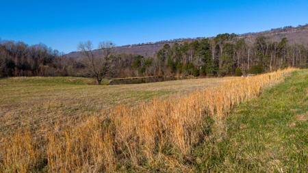 4975 Browntown Road