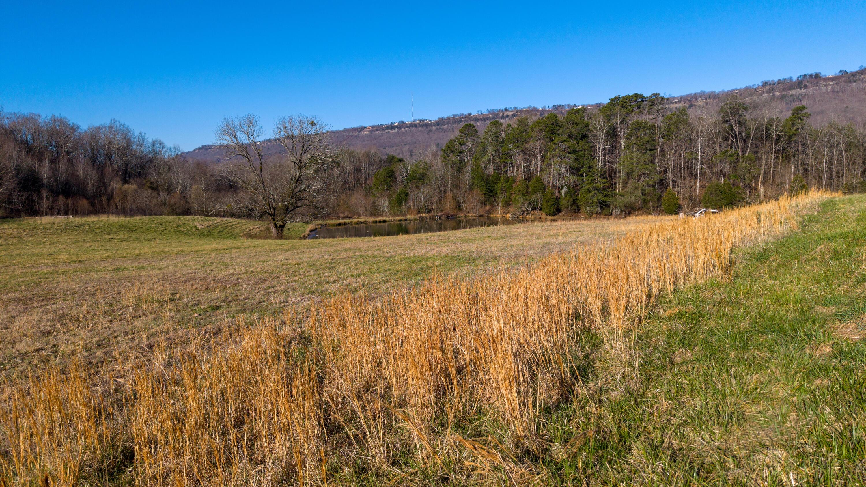 Image 1: DJI_20250311094006_0318_D-HDR