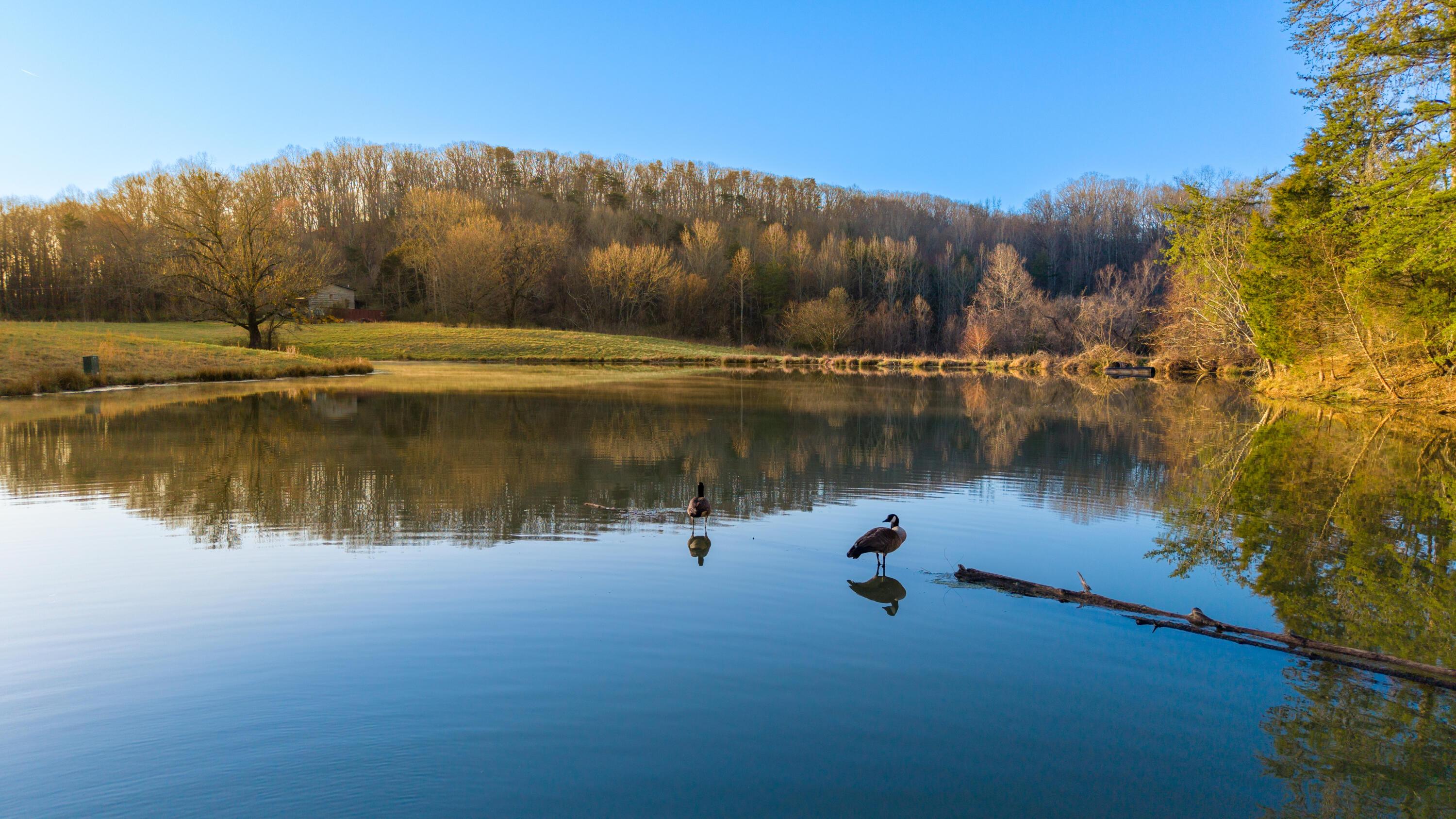 Image 4: DJI_20250311084443_0198_D-HDR