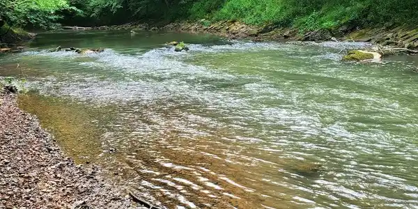 Image 4: 1 River