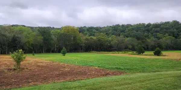 Image 3: Lot 63