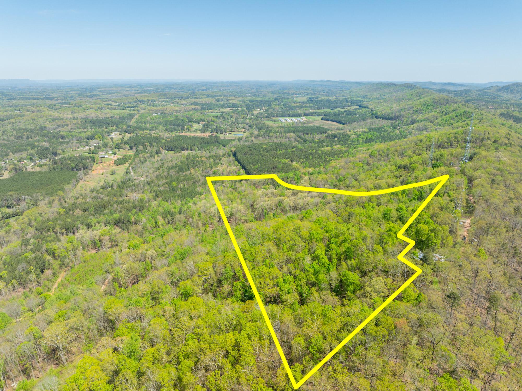 Image 2: Jack-Rd-Land-Photos-Boundary-Lines-1