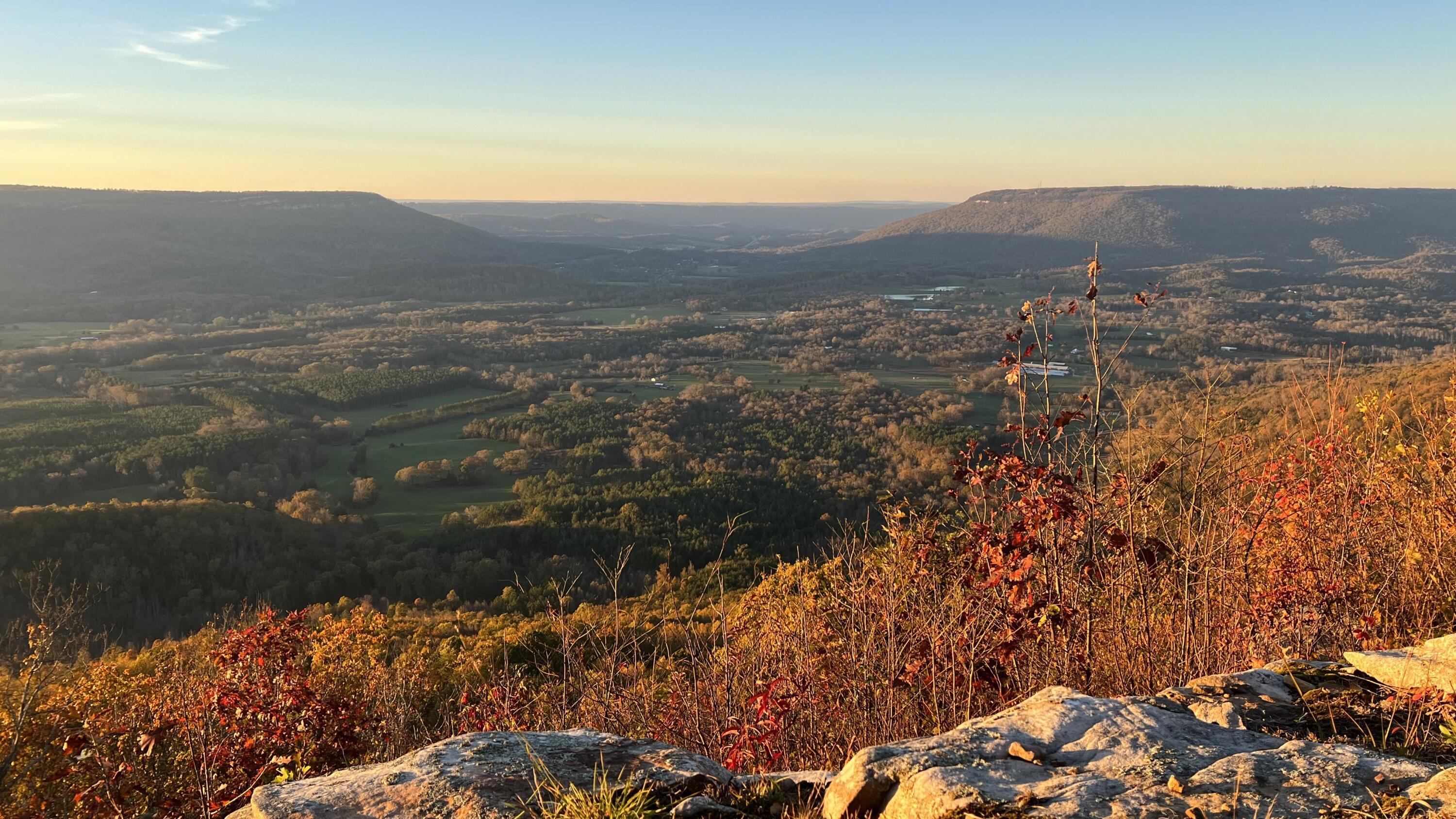 Image 1: Photo Nov 16 2024, 5 15 10 PM