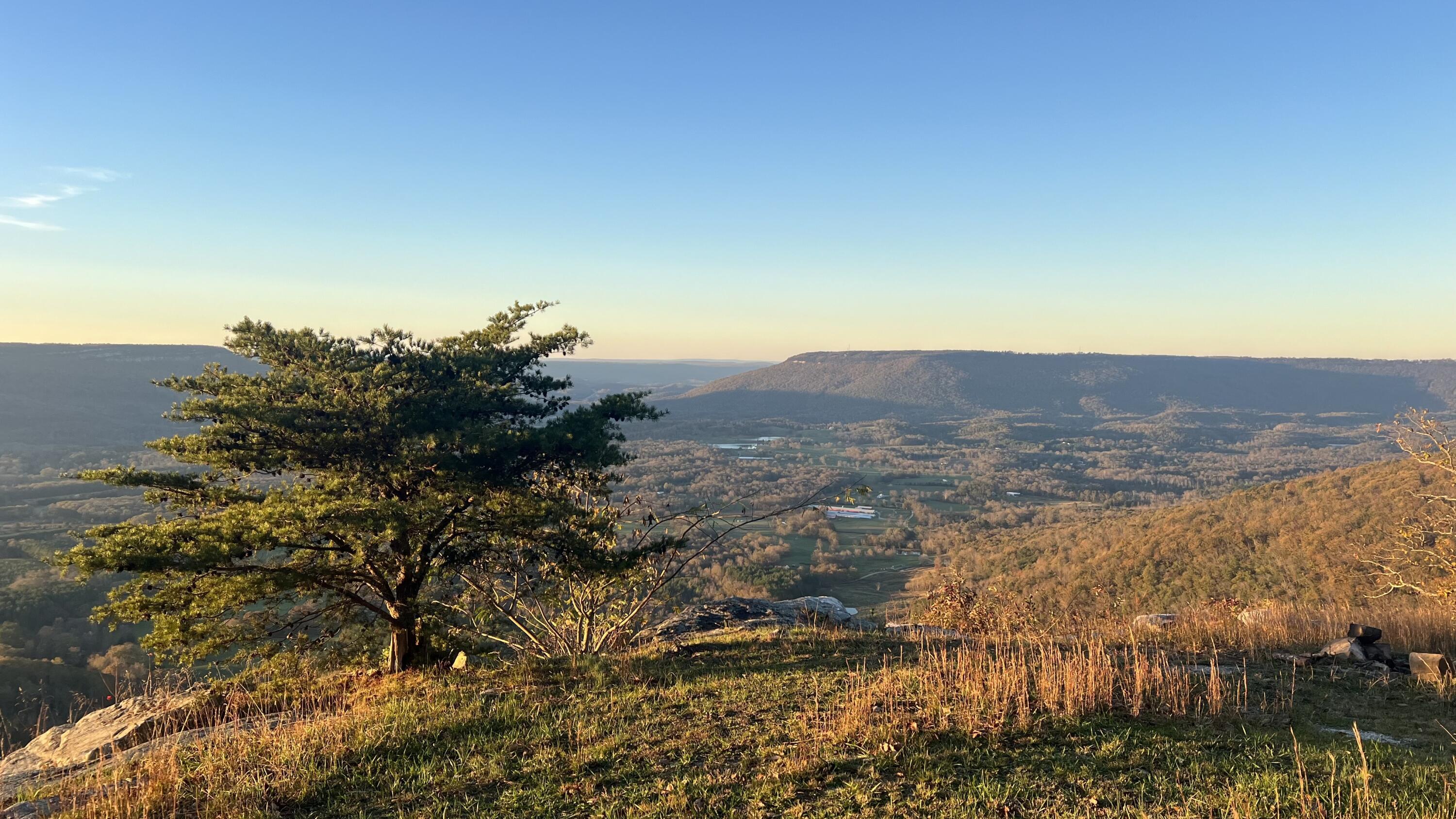 Image 3: Photo Nov 16 2024, 4 13 34 PM