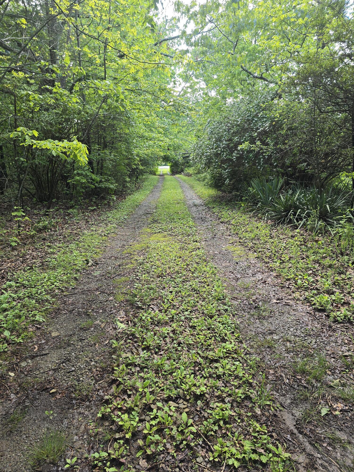 Image 2: 02 - Private Entrance