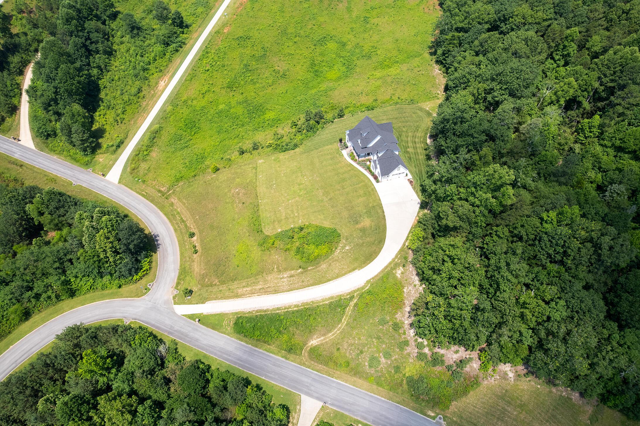 Image 4: DJI_0781