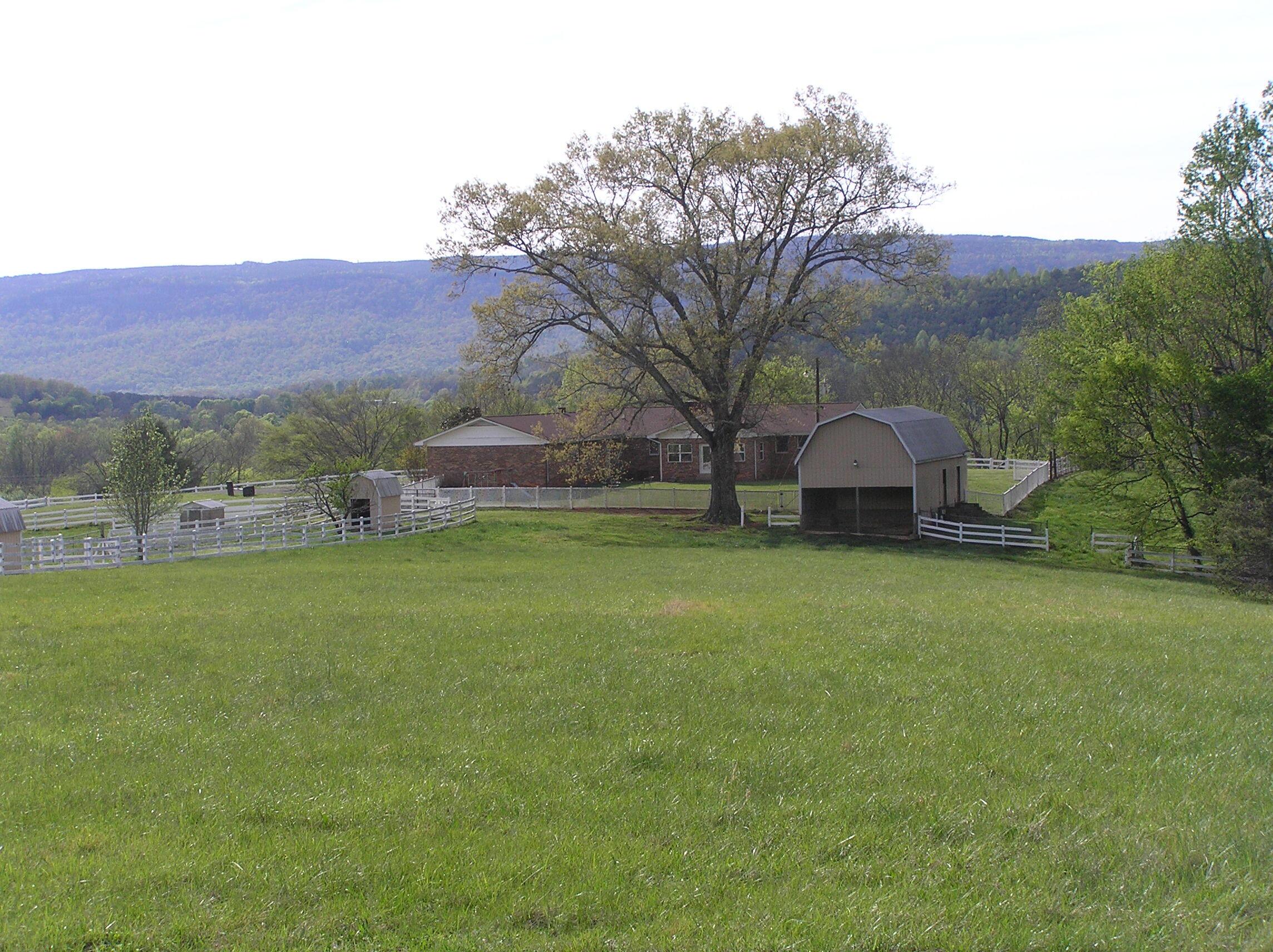 Image 2: 040626 011