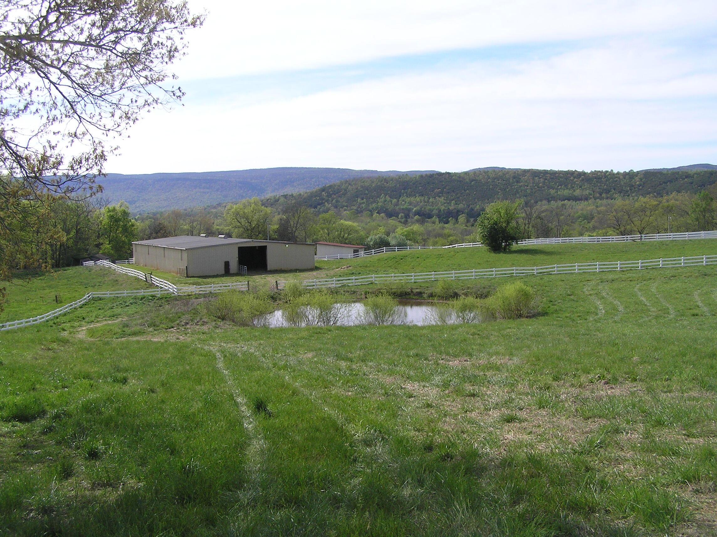 Image 3: 040626 001