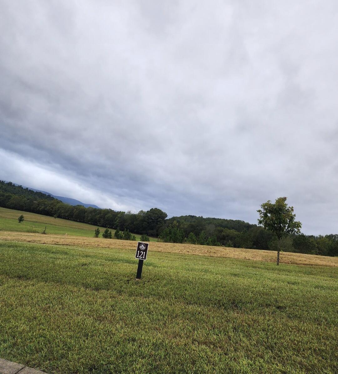 Image 3: Lot 121
