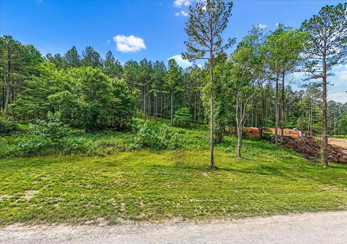 Image 3: 02-DJI_20250611094129_0029_D