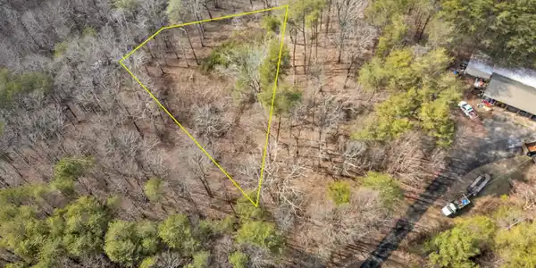 Image 2: DJI_20260220035833_0031_D-Edit