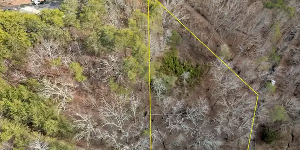 Image 3: DJI_20260220035922_0036_D-Edit