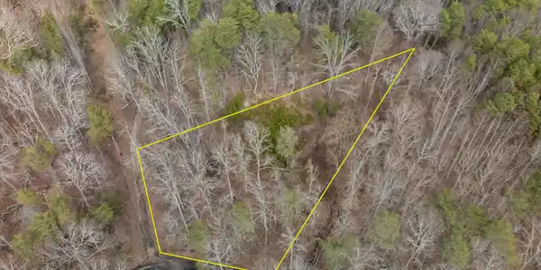 Image 4: DJI_20260220040005_0040_D-Edit