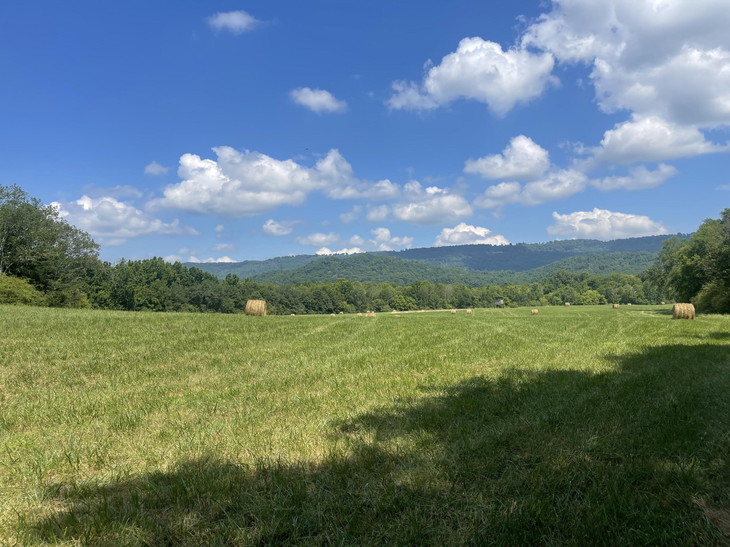 Image 1: IMG_6062
