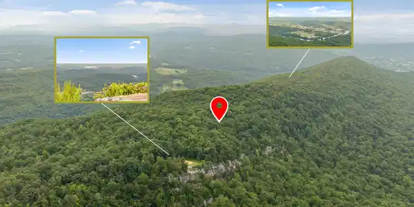 Image 2: 1075 Acres Riggs Chapel Road