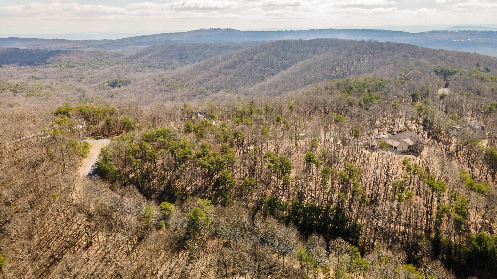 Image 2: DJI_0008-HDR