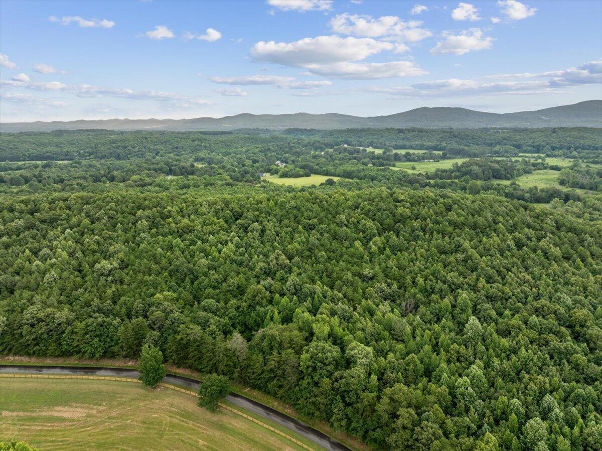Image 4: 03-DJI_20260711145023_0890_D