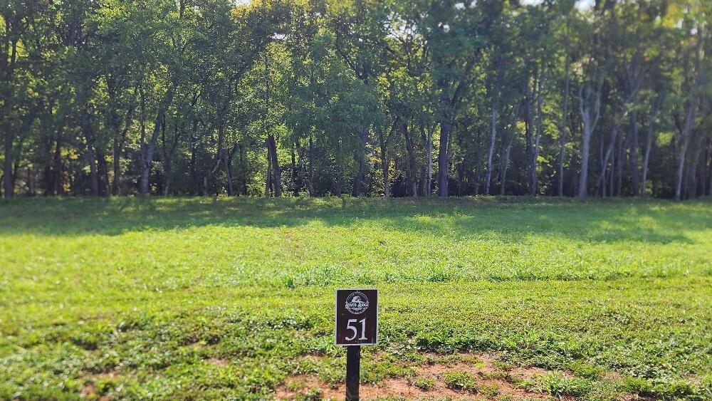 Image 1: Lot 51