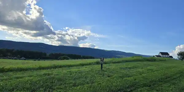 Image 3: 20260623_175819