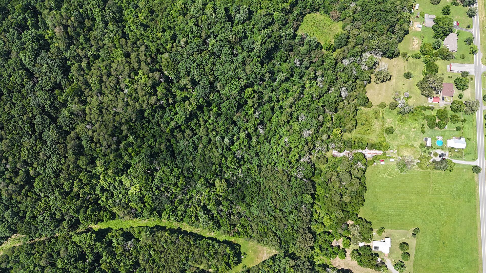 Image 1: 25.91 Acres & Utiity Line Clearance
