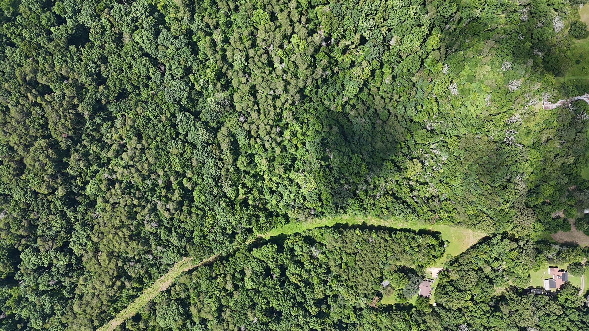 Image 4: Lower Rt. Chapman house. Land on Right.