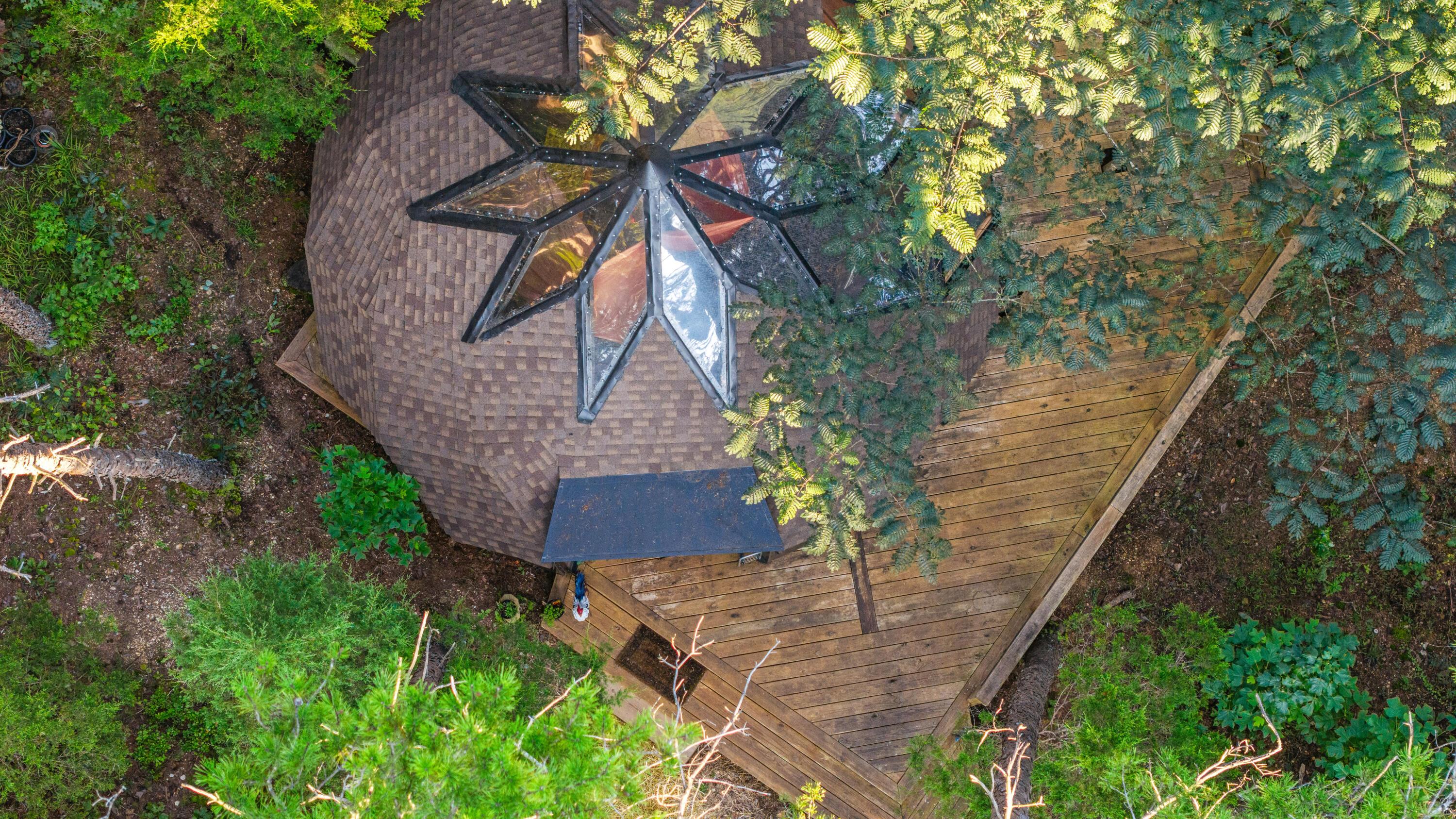 Image 1: A Treetop Dream