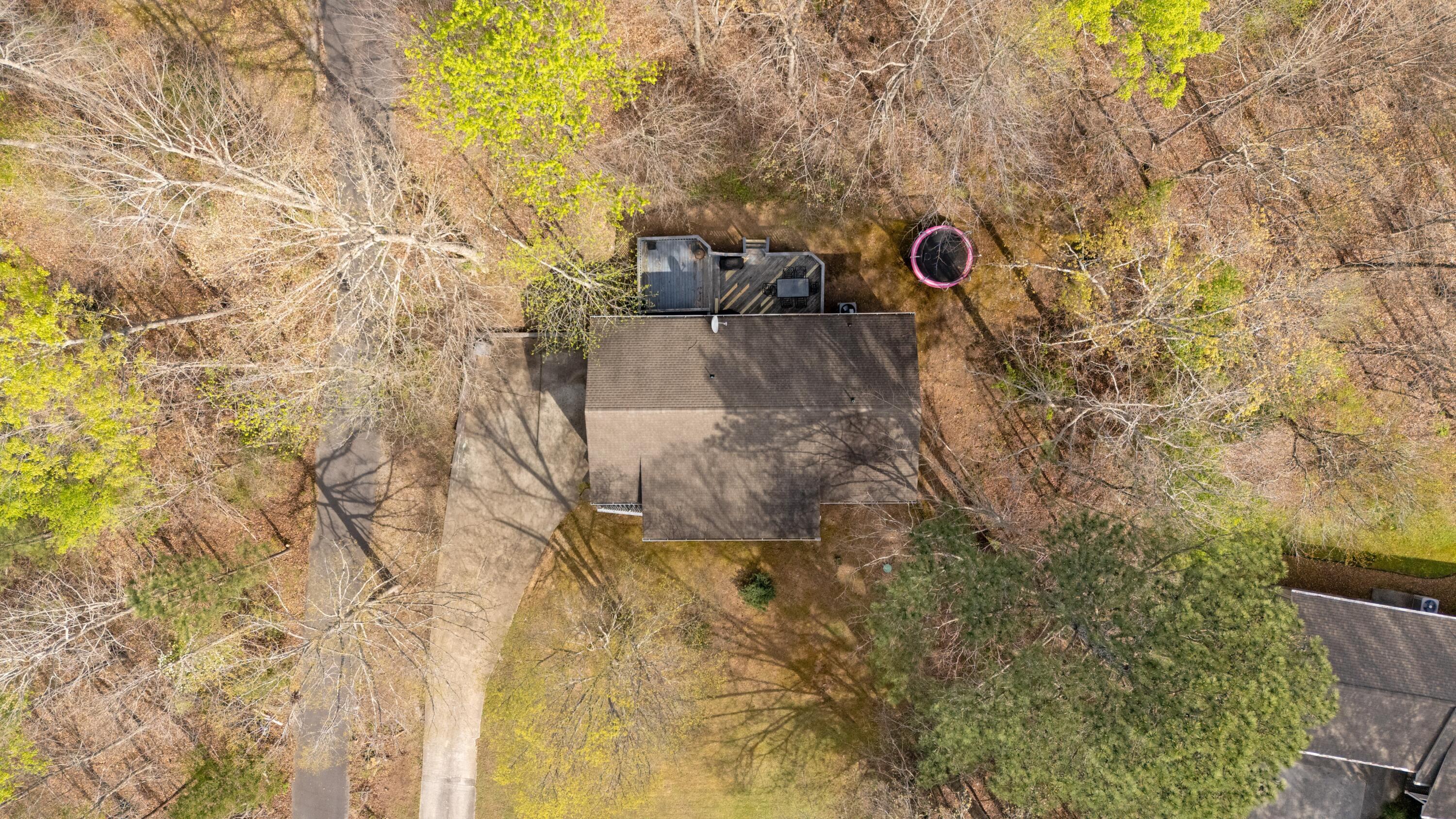 Image 3: above