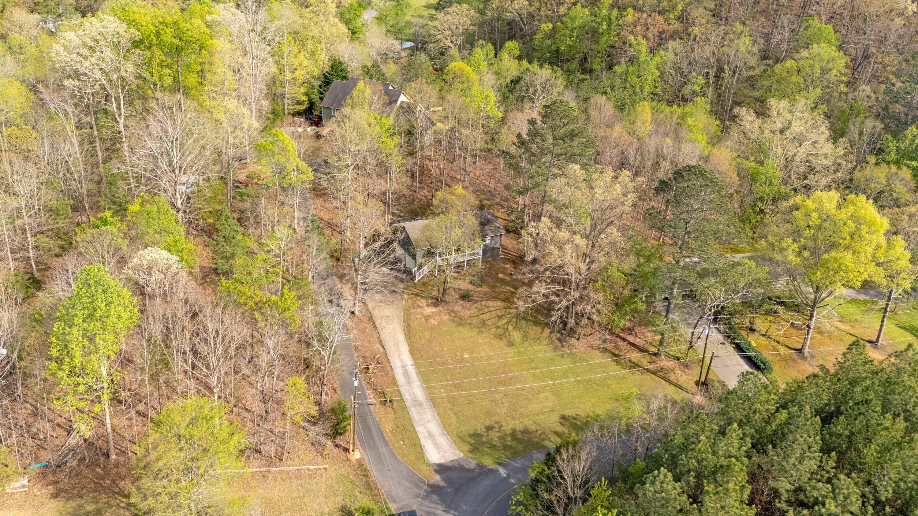 Image 4: above -