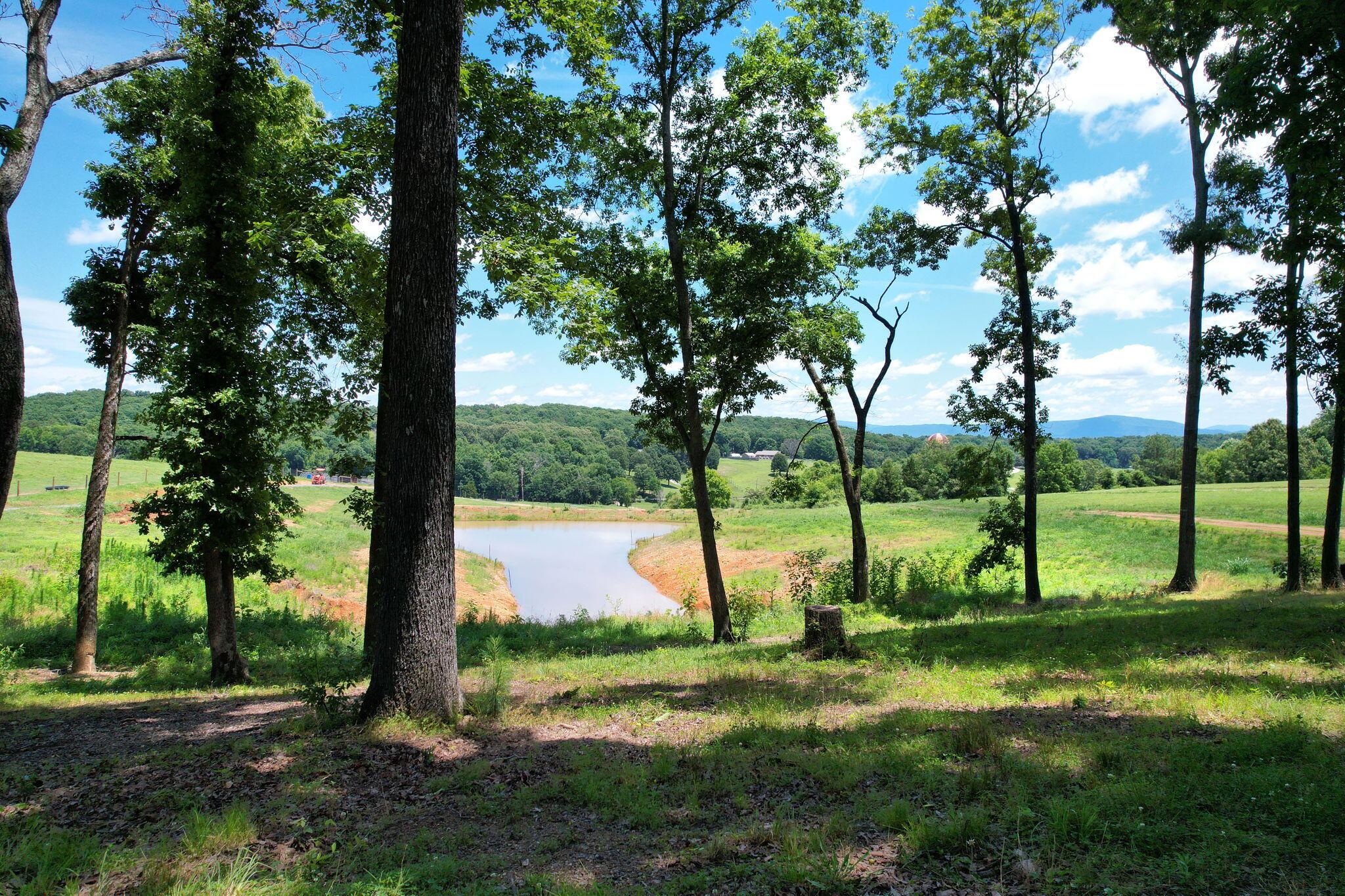 Image 2: 2-web-or-mls-DJI_0923