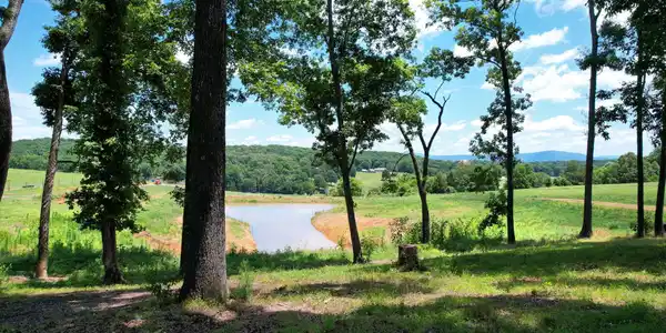 Image 2: 2-web-or-mls-DJI_0923