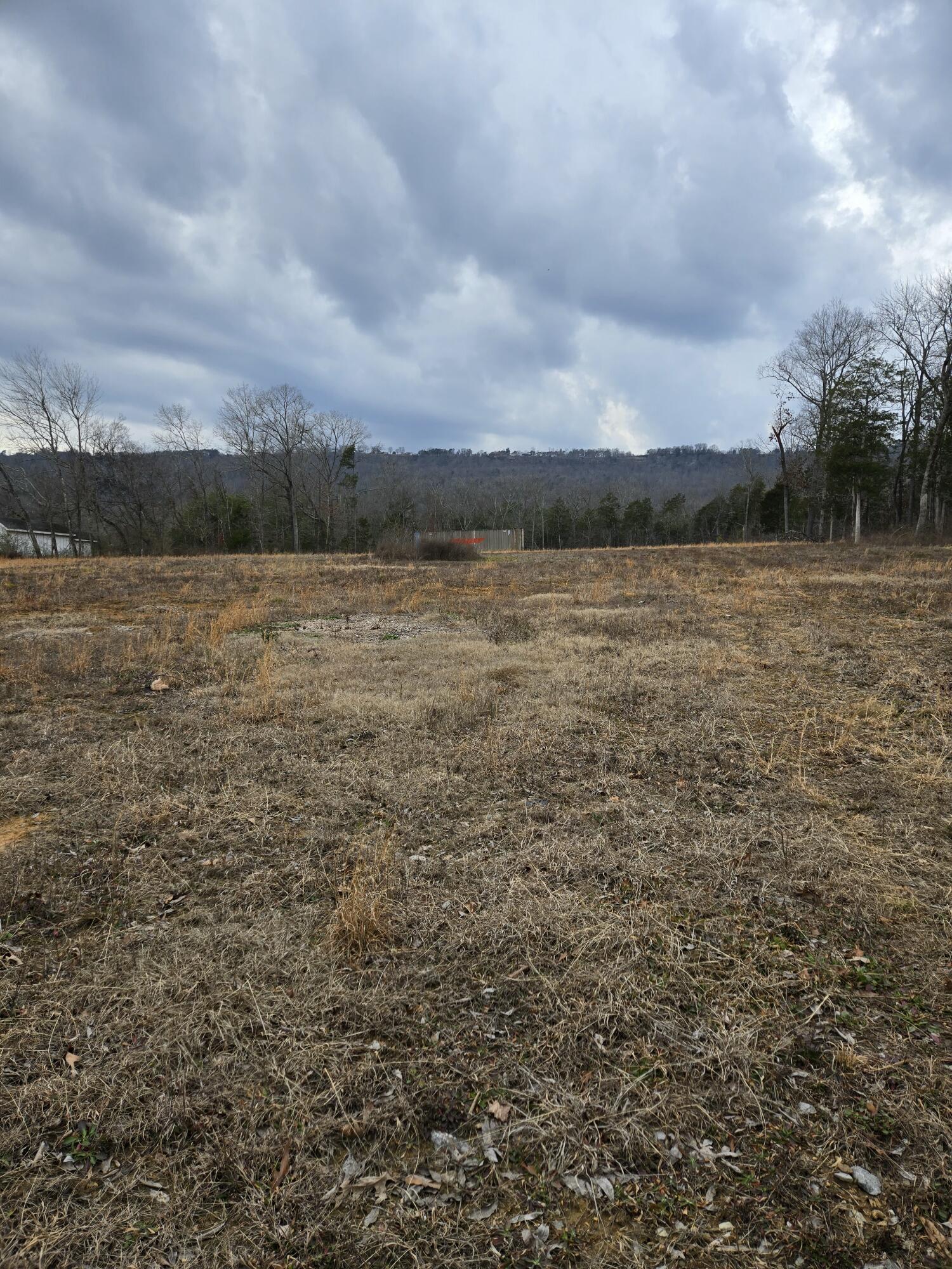 Image 3: 3 acres 1