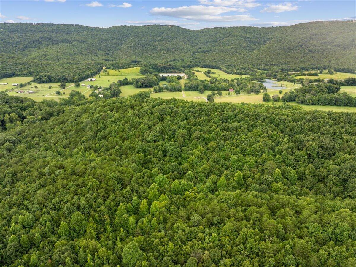 Image 4: 07-DJI_20260711145214_0908_D