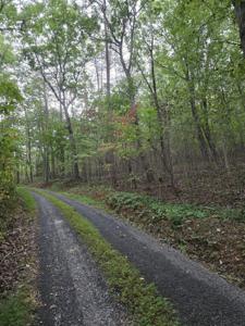 0 Taylors Ridge Road