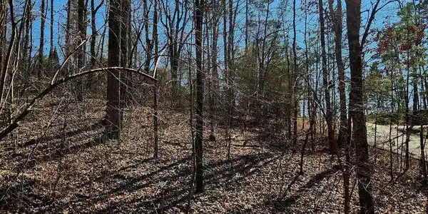 Image 4: NW11