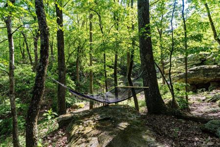 314 Fairy Trail