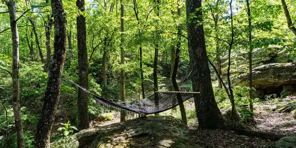 314 Fairy Trail