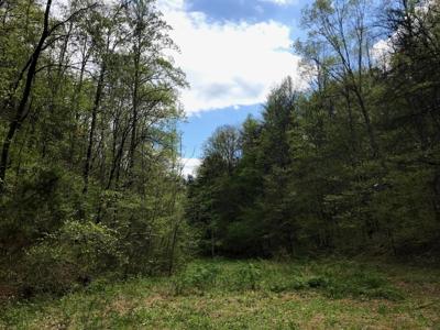 0 Cane Creek Mtn. Road