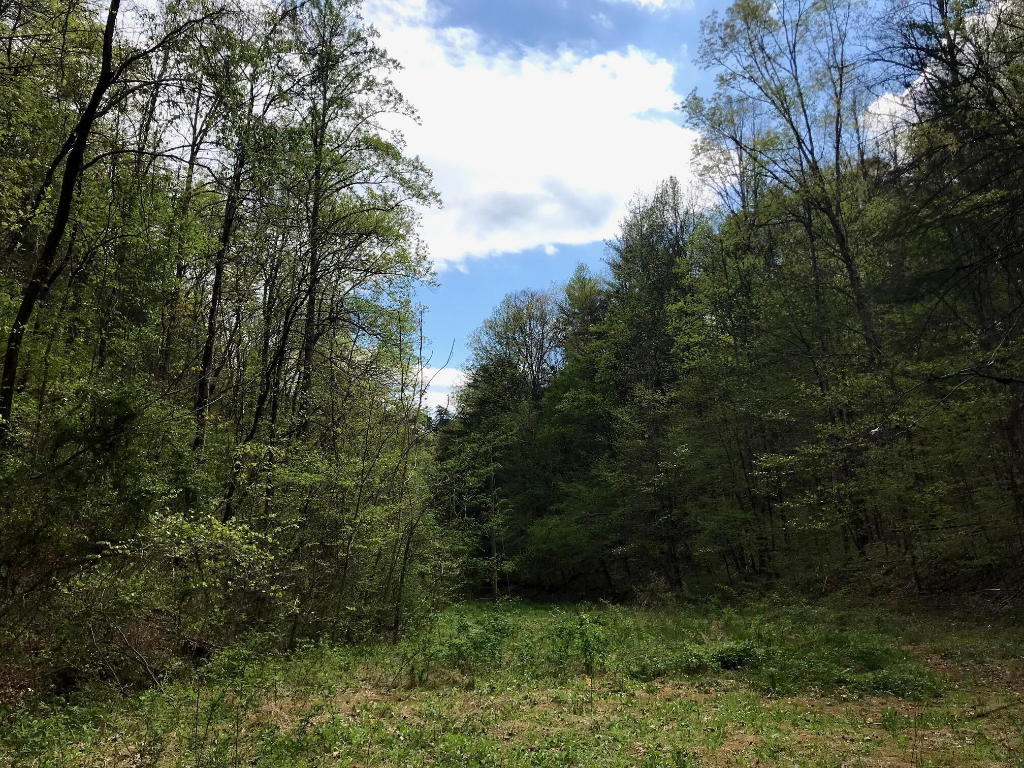 Image 1: image3