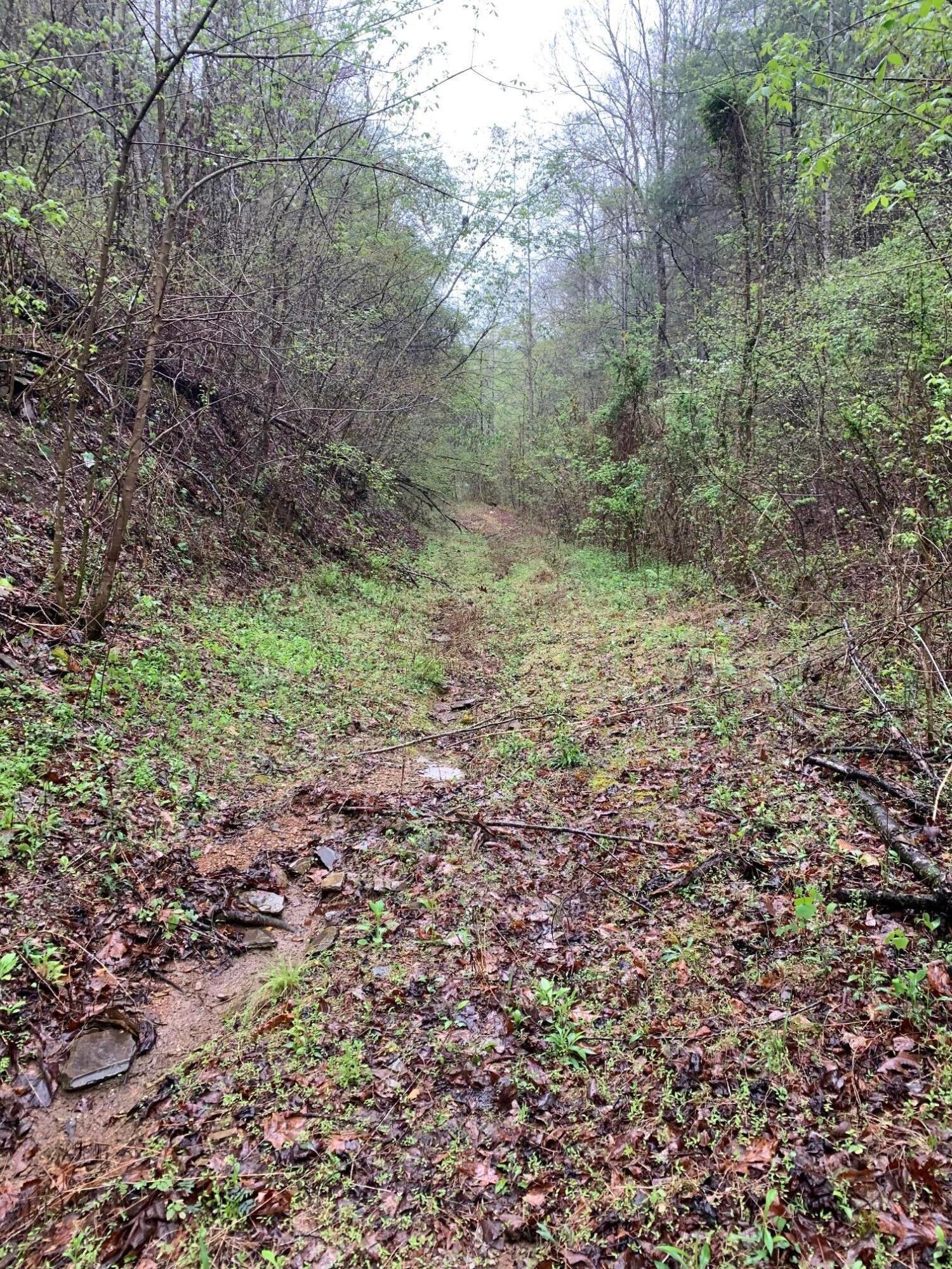 Image 2: image0